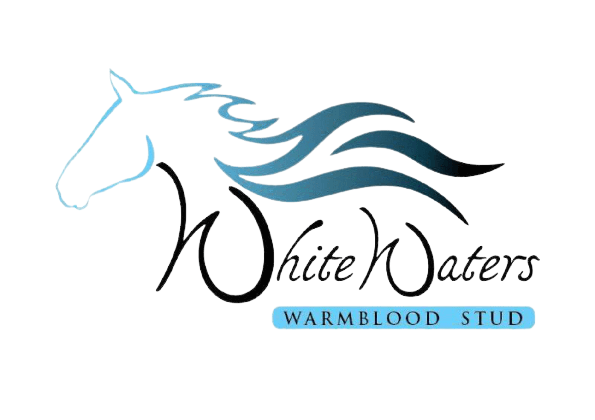 White_Waters_Logo