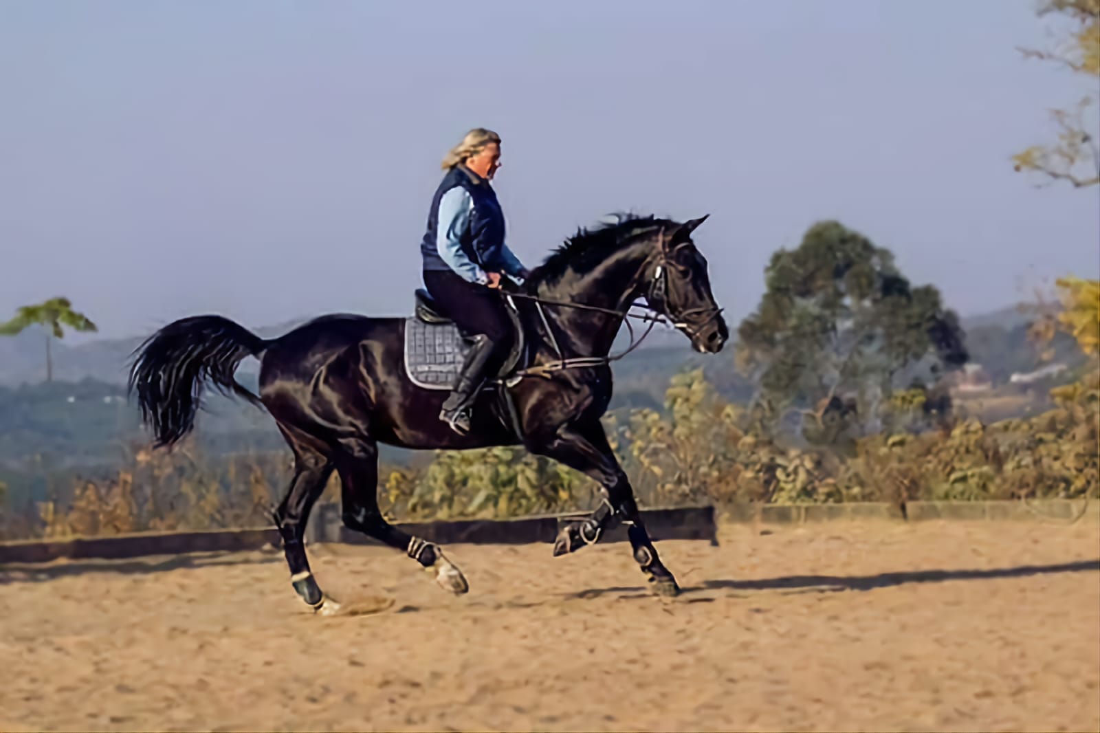 Beach Haven On Track with Kraai